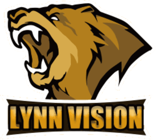 Lynn Vision