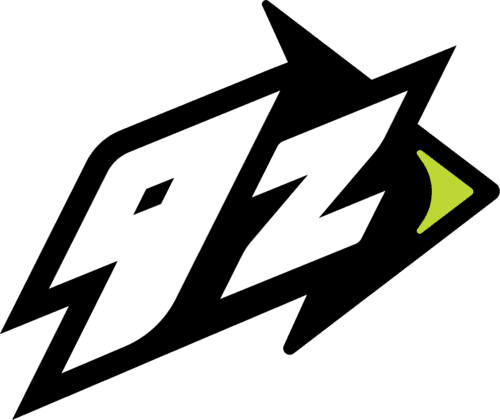 9z Team logo