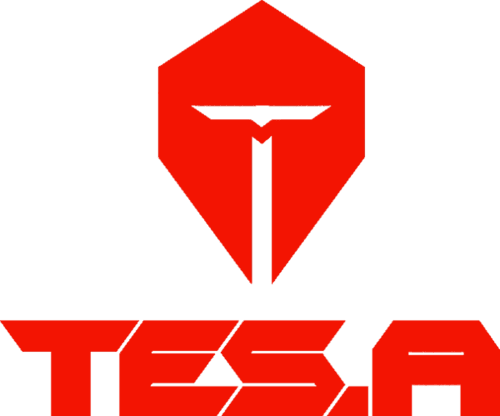 TOP Esports Armor logo