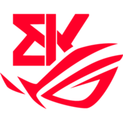 BK ROG Esports