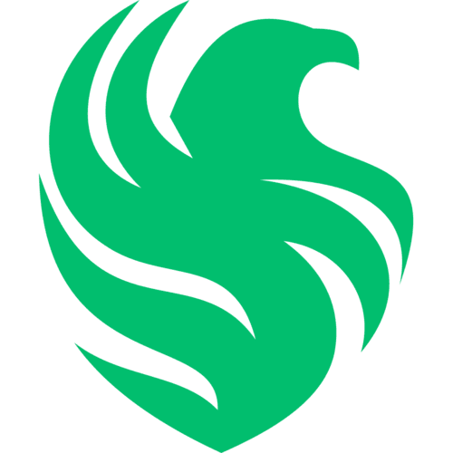 Team Falcons logo