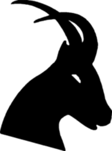 regain