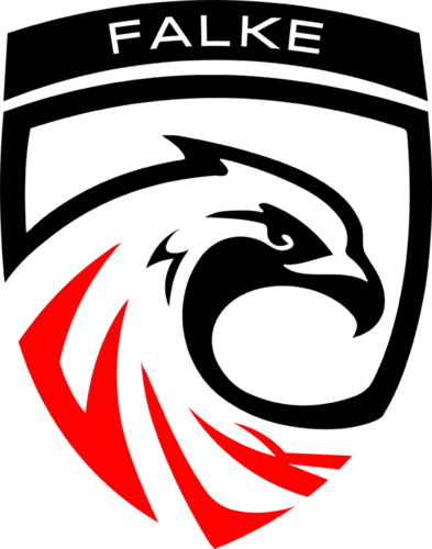 FALKE ESPORTS