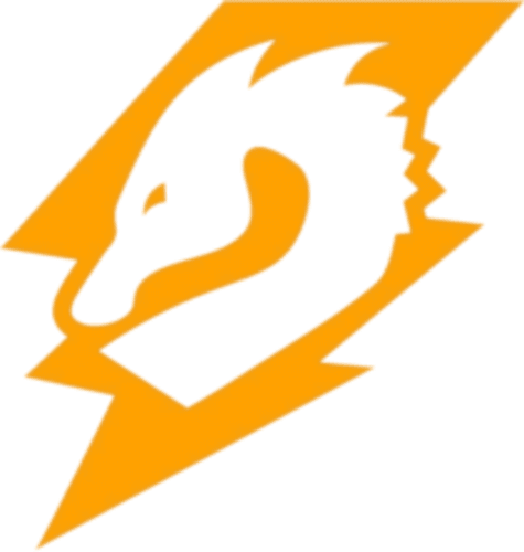 DRGN TEAM