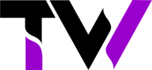 Time Waves logo