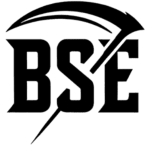 Black Sentence Esports logo