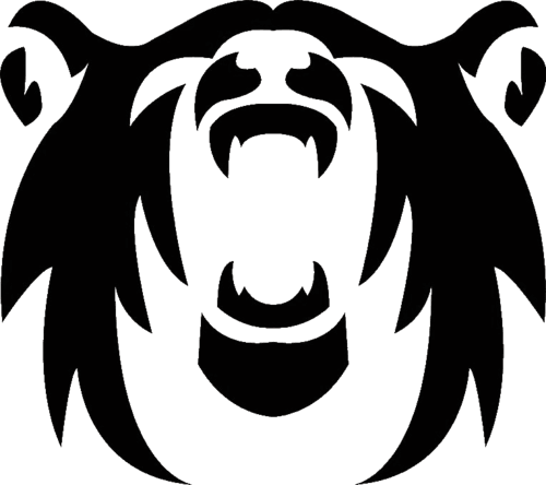 Polar Squad Esports logo