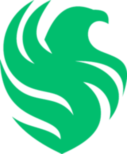 Falcons Force logo